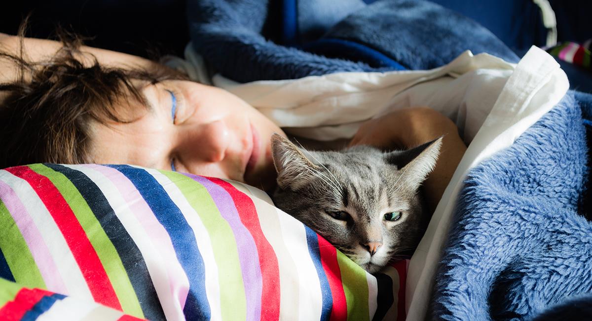 Los gatos podrían contagiarse de COVID-19 por dormir en la cama de sus dueños