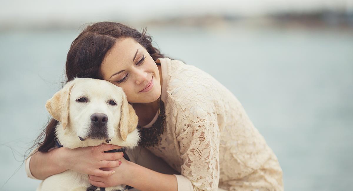Mujer quería adoptar una nueva mascota y encontró a su perro perdido hace 2 años. Foto: Shutterstock