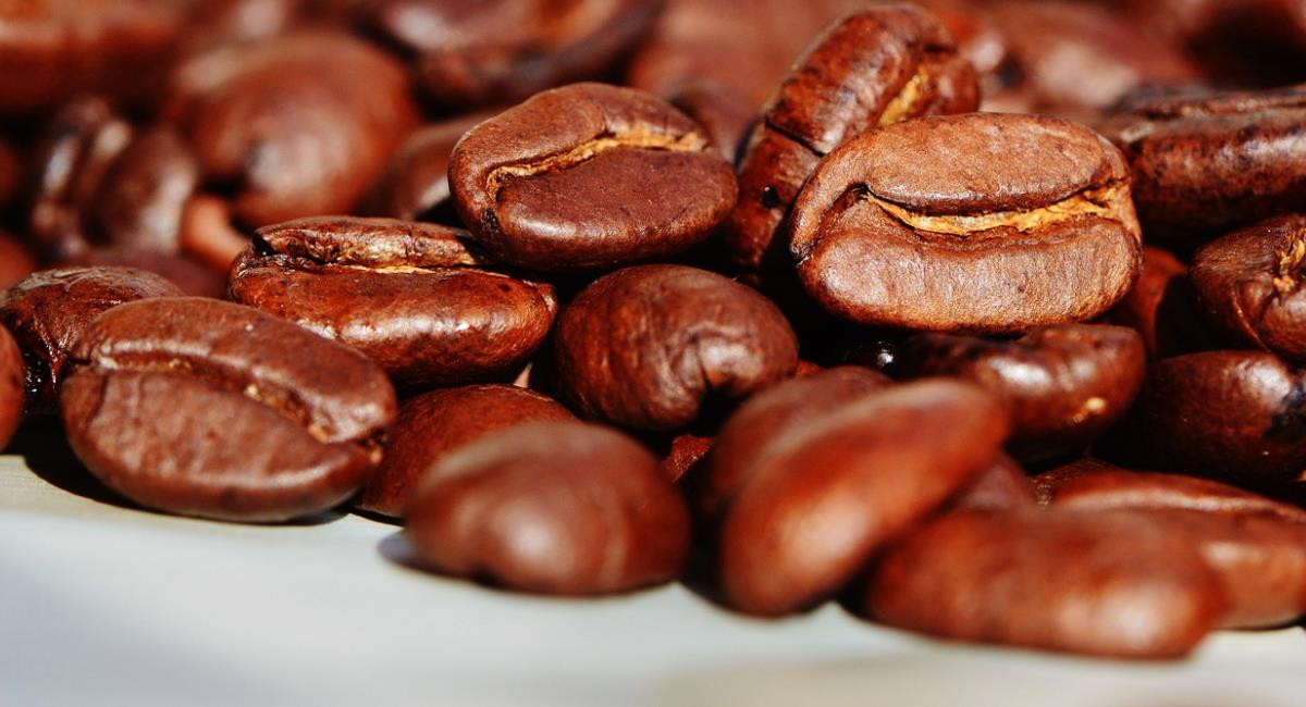 Exportaciones de café cayeron por bloqueos viales. Foto: Pixabay