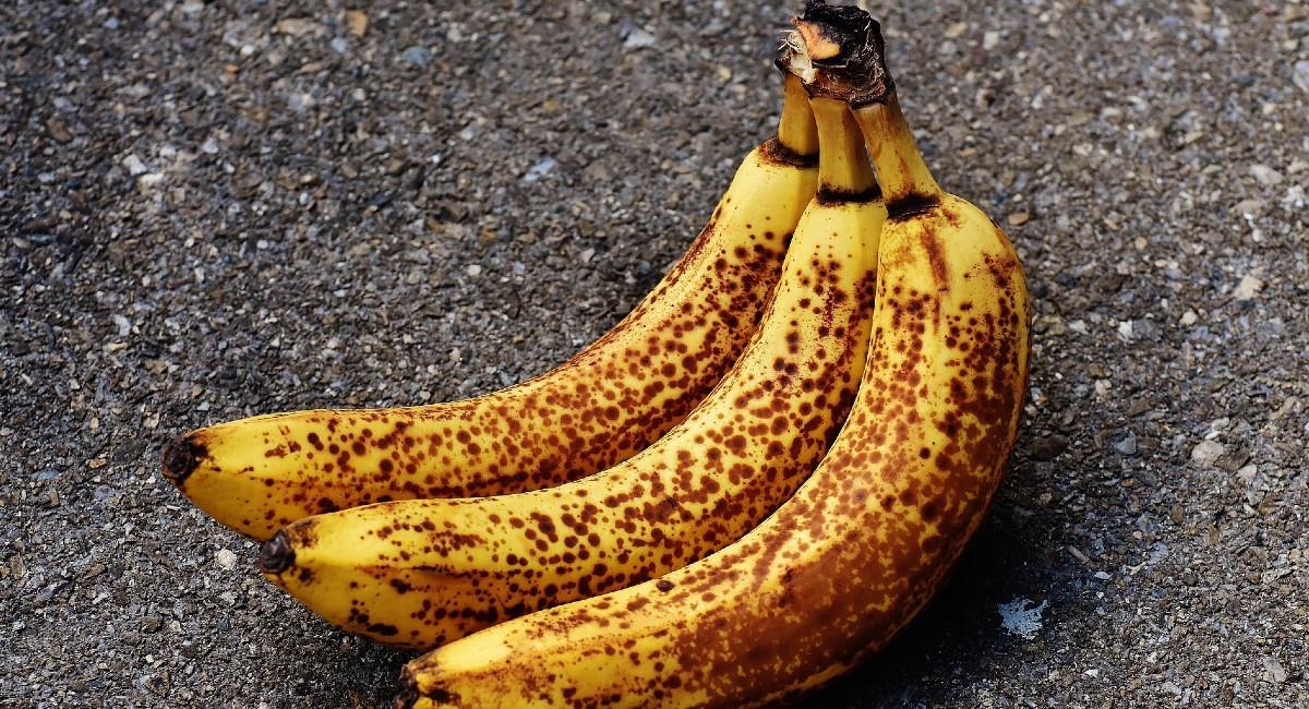 Si te encanta comer plátano estas recetas son para ti. Foto: Pixabay