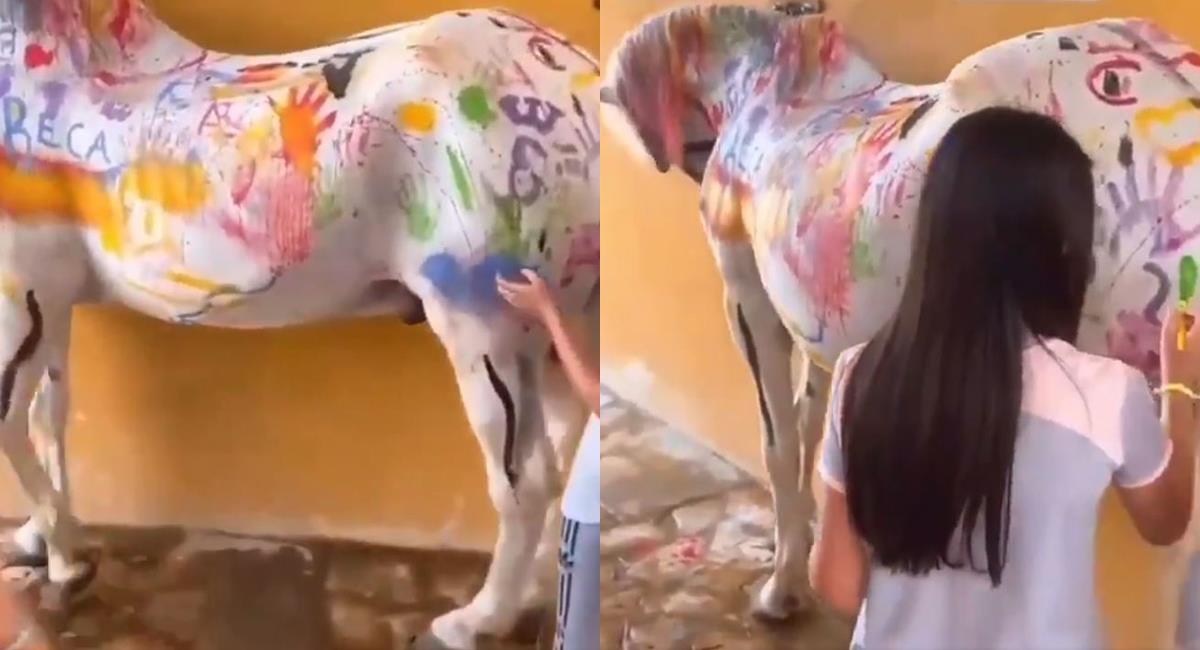 Caso de maltrato animal: caballo fue pintado por niños como si se tratara de un lienzo. Foto: Twitter @chica_bang