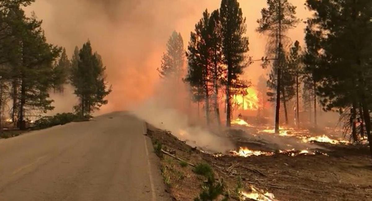 El incendio en Oregon es el más grande de los 60 que se encuentran activos en el oeste de los EE.UU. Foto: Twitter @ExpansionMx