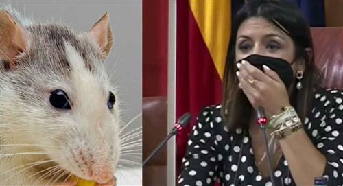 Rata aparece en plena votación del Parlamento de Andalucía en España
