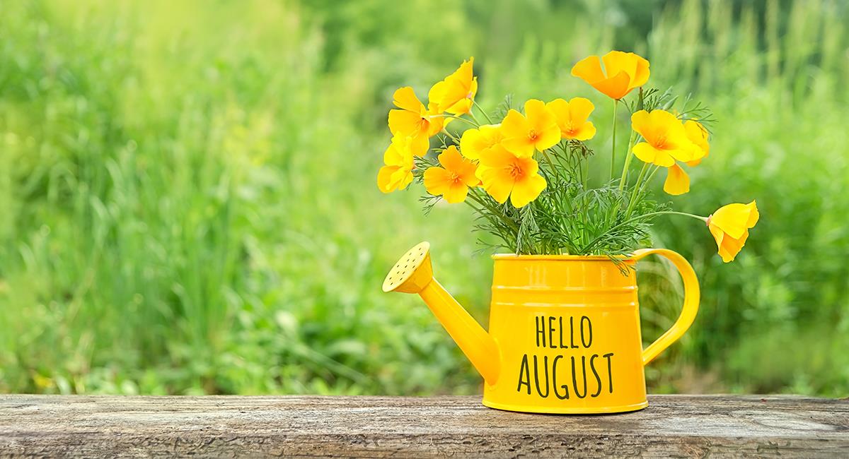 Agosto: este será el mejor día del mes para tu signo del zodiaco. Foto: Shutterstock