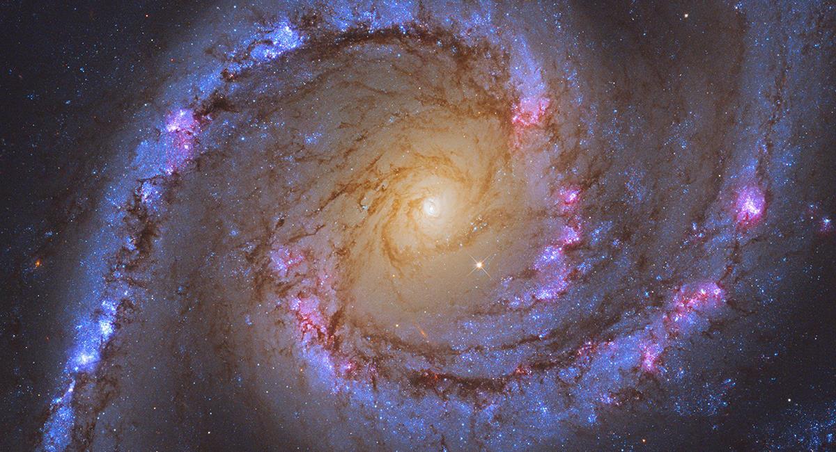Los científicos habían detectado los espirales en la galaxia galaxia NGC 1566. Foto: Twitter @NASA