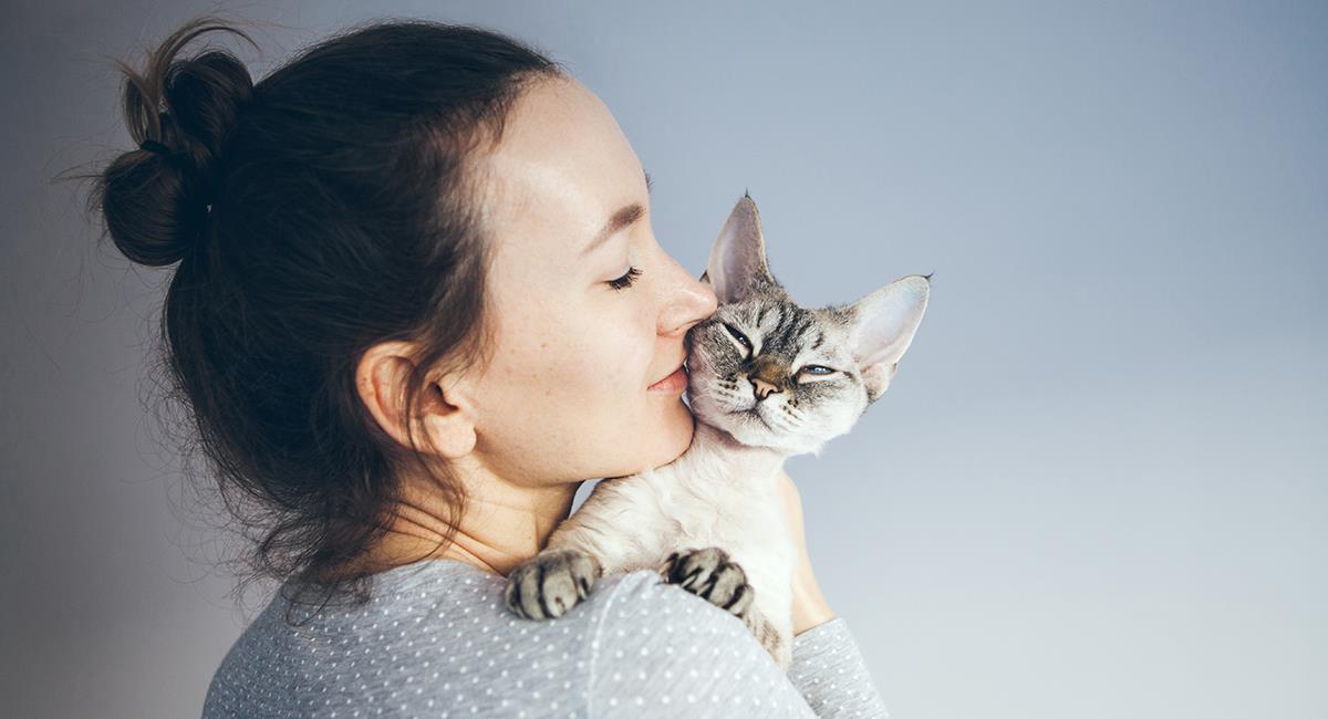 Curiosidades felinas: 6 cosas que debes saber para entender mejor a tu gato. Foto: Shutterstock