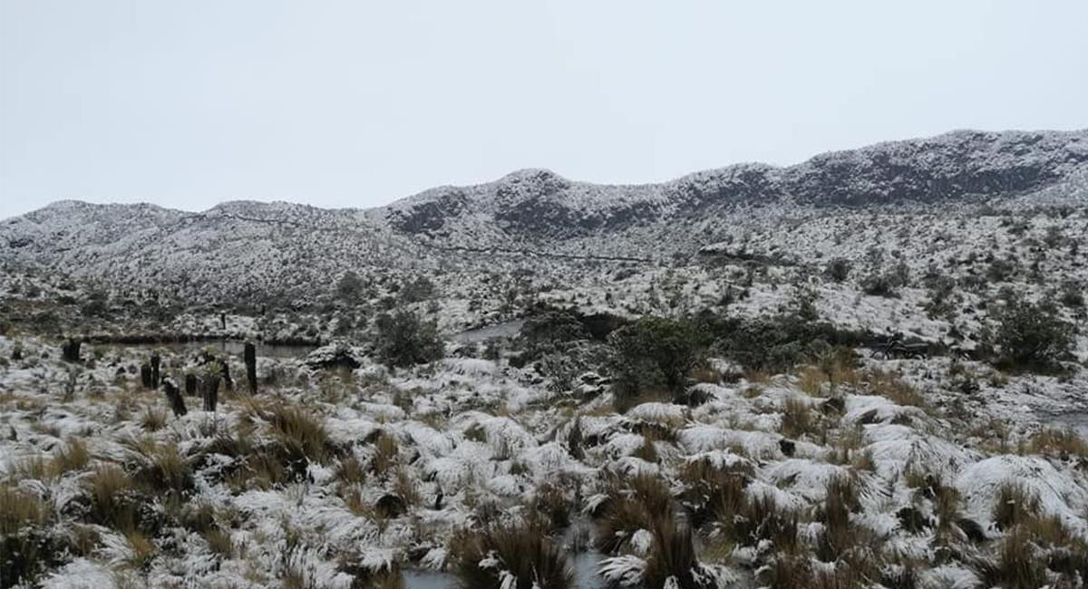 Los senderos del Cisne, Glaciar Nevado Santa Isabel y Laguna Verde se llenaron de 'nieve'. Foto: Twitter @ParquesNaturales