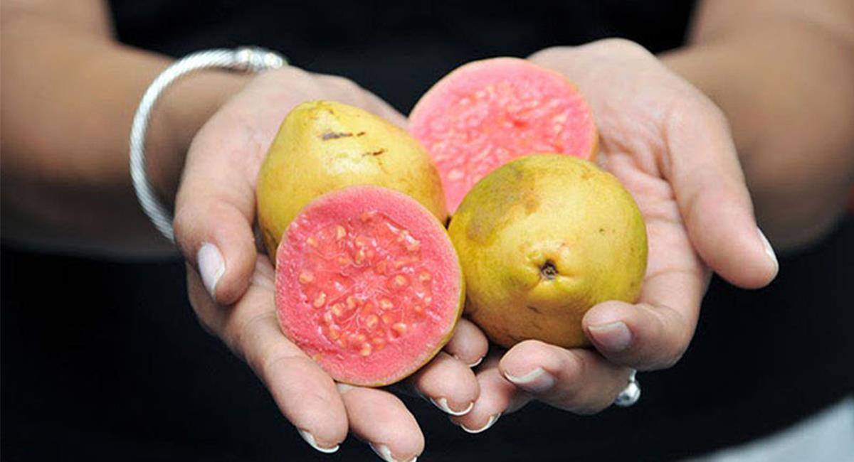 Las frutas son compuestos biológicos o reservorios de compuestos antioxidantes. Foto: Unimedios 