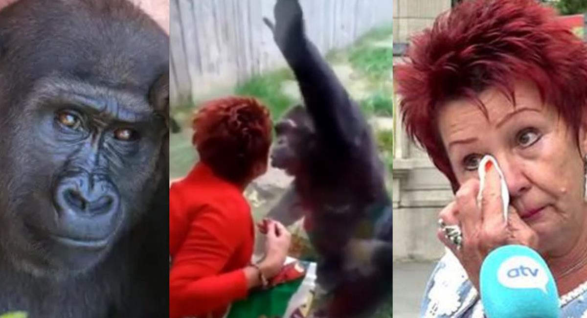 Adie Timmermans es una mujer belga que asegura sostener una aventura con un chimpancé. Foto: Twitter @faceofmalawi1