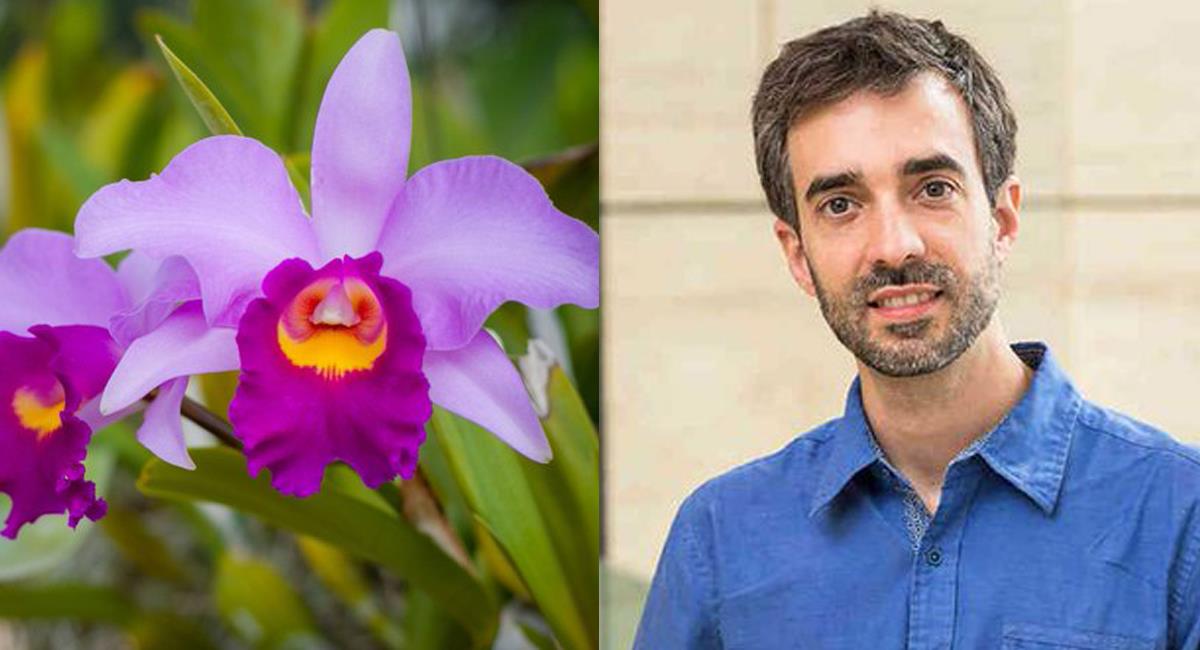 Nicolás Peláez siente especial pasión por especies como las orquídeas y las mariposas que abundan en Colombia. Foto: Twitter @nico:pelres / @MundoNaturama