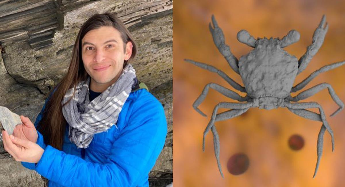 Un geólogo e investigador bogotano logró descifrar una parte desconocida de la evolución de los cangrejos. Foto: Twitter  @JaviPaleobio