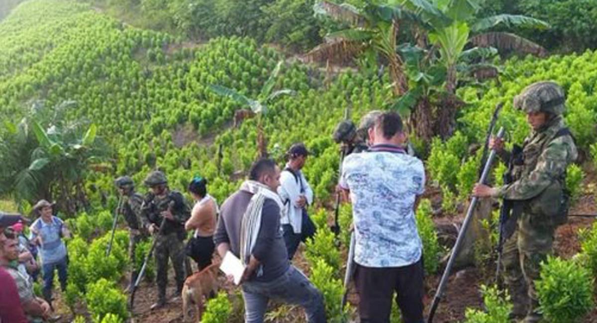 La erradicación de cultivos ilícitos en varias zonas del país es llevada a cabo por soldados del Ejército Nacional. Foto: Twitter @RafaNietoLoaiza
