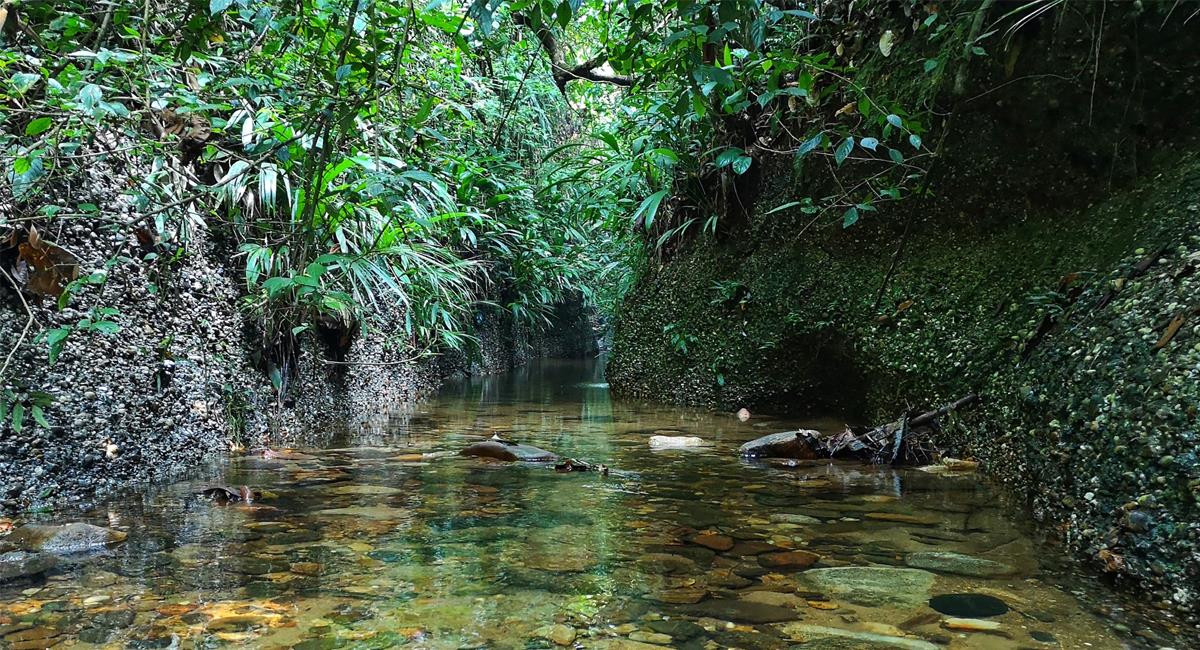 El canal huevo´epato en Caquetá es un paraíso para conocer, disfrutar y conservar. Foto: Facebook DONCELLO-TRAVEL