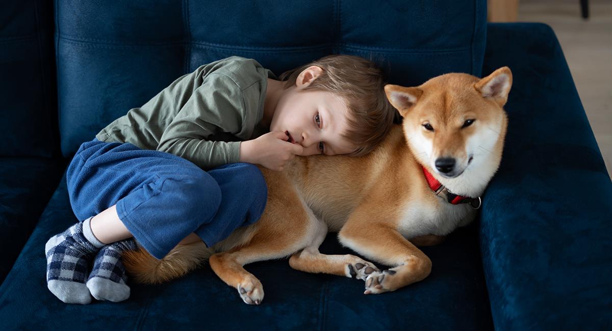 4 razas de perro ideales para niños o adultos con autismo. Foto: Shutterstock