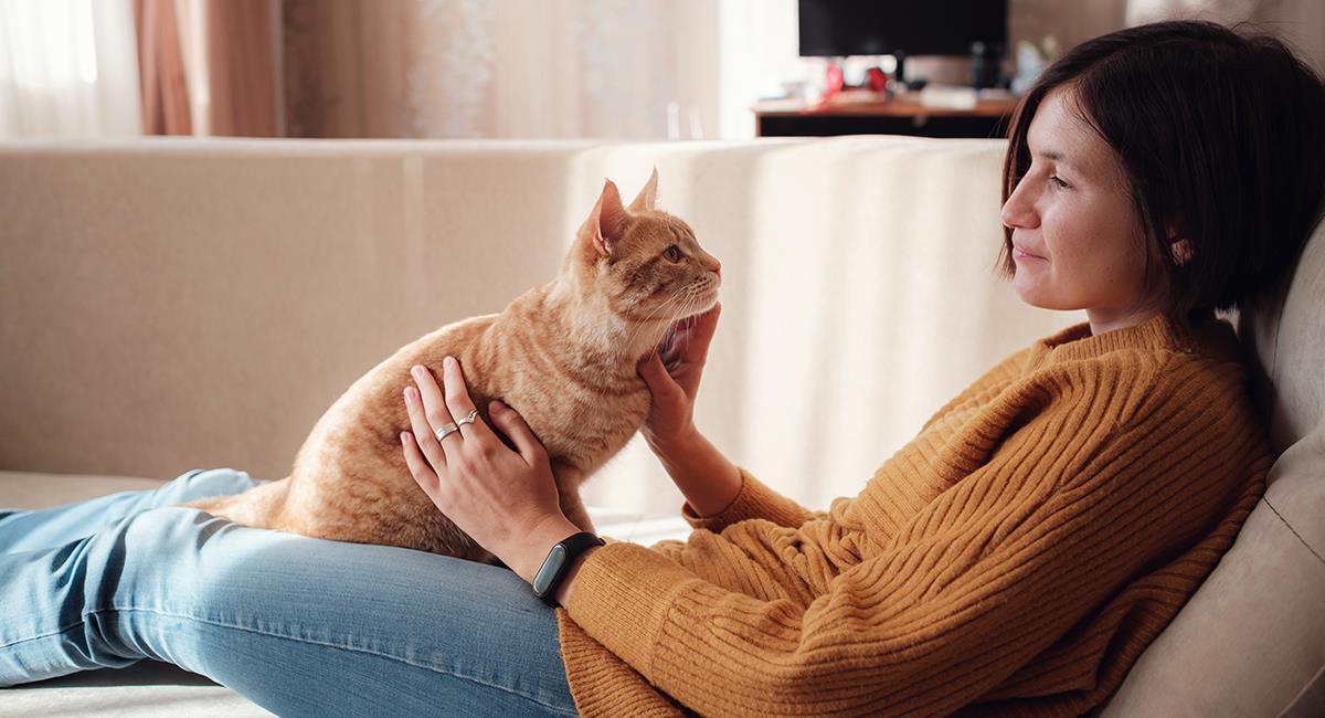 3 cosas que debes hacer para convertirte en la persona favorita de tu gato. Foto: Shutterstock