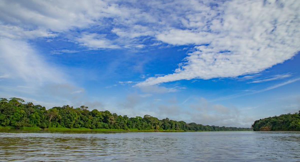 Cumaribo es tan extenso que ríos, llanuras y selvas componen su territorio. Foto: Twitter @duranrodrigoa