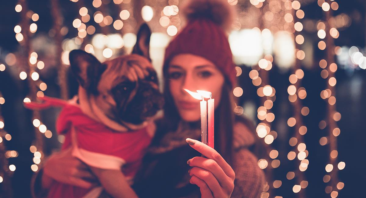 Consejos para el cuidado de las mascotas en época de fin de año. Foto: Shutterstock