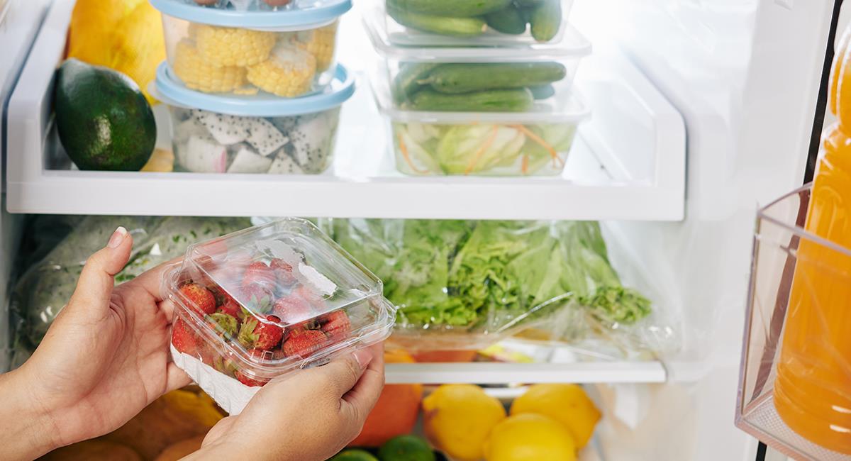 Así es como debes refrigerar la comida para evitar intoxicaciones. Foto: Shutterstock