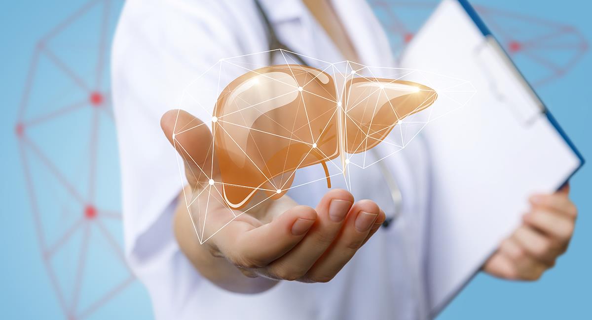 Cuida tu hígado: 10 consejos de los expertos que debes tener en cuenta. Foto: Shutterstock