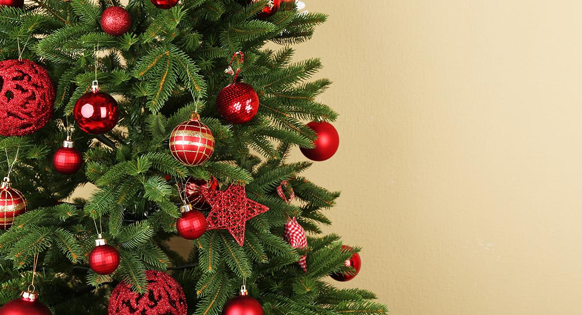 Rituales para purificar las energías de tu árbol de Navidad. Foto: Shutterstock
