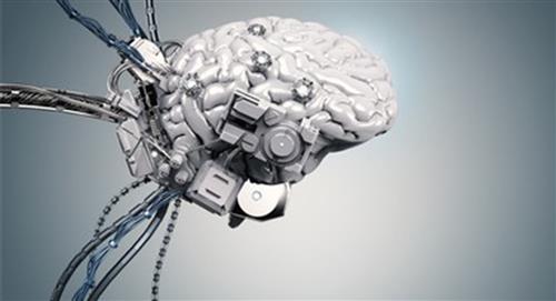 DishBrain: el primer cerebro 'cyborg' del mundo, tiene neuronas humanas y chips electrónicos 