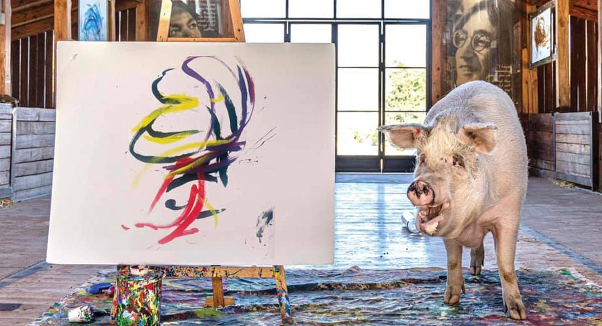 ‘Pigcasso’, la cerda que pasó de un matadero a pintar costosos cuadros. Foto: Facebook Pigcasso
