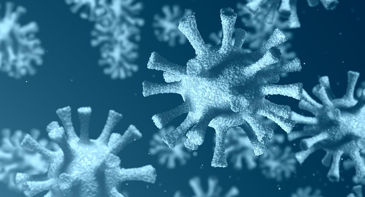 Parece que el "coronavirus" se quedará mucho tiempo con nosotros. Foto: Shutterstock