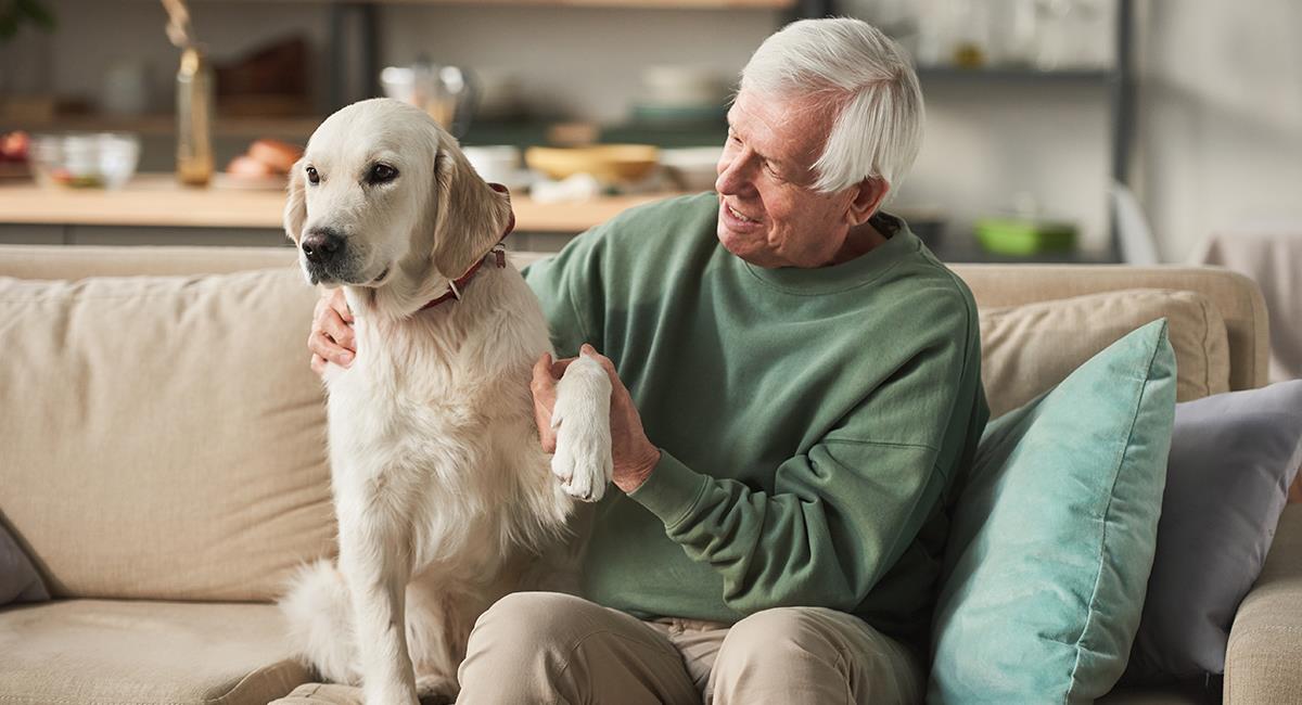 Una mascota te ayudaría a tener una vejez más sana, según expertos. Foto: Shutterstock