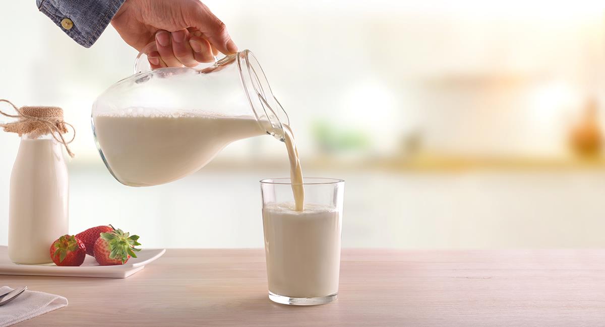 Deslactosada, entera, 0% grasa: así puedes elegir la mejor leche para ti. Foto: Shutterstock
