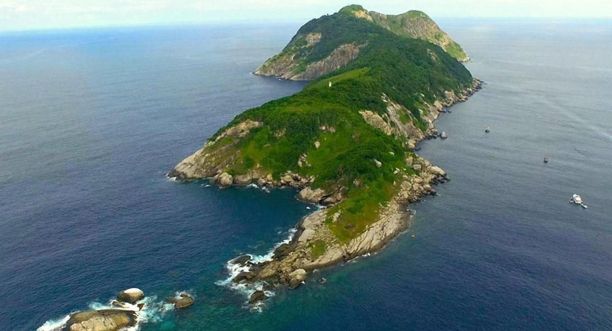 Isla de Queimada es uno de los lugares del mundo, con más serpientes venenosas registradas. Foto: Twitter @NaoCasanova