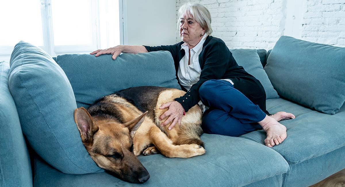 Reza esta oración de sanación si en casa hay una persona o mascota enferma. Foto: Shutterstock
