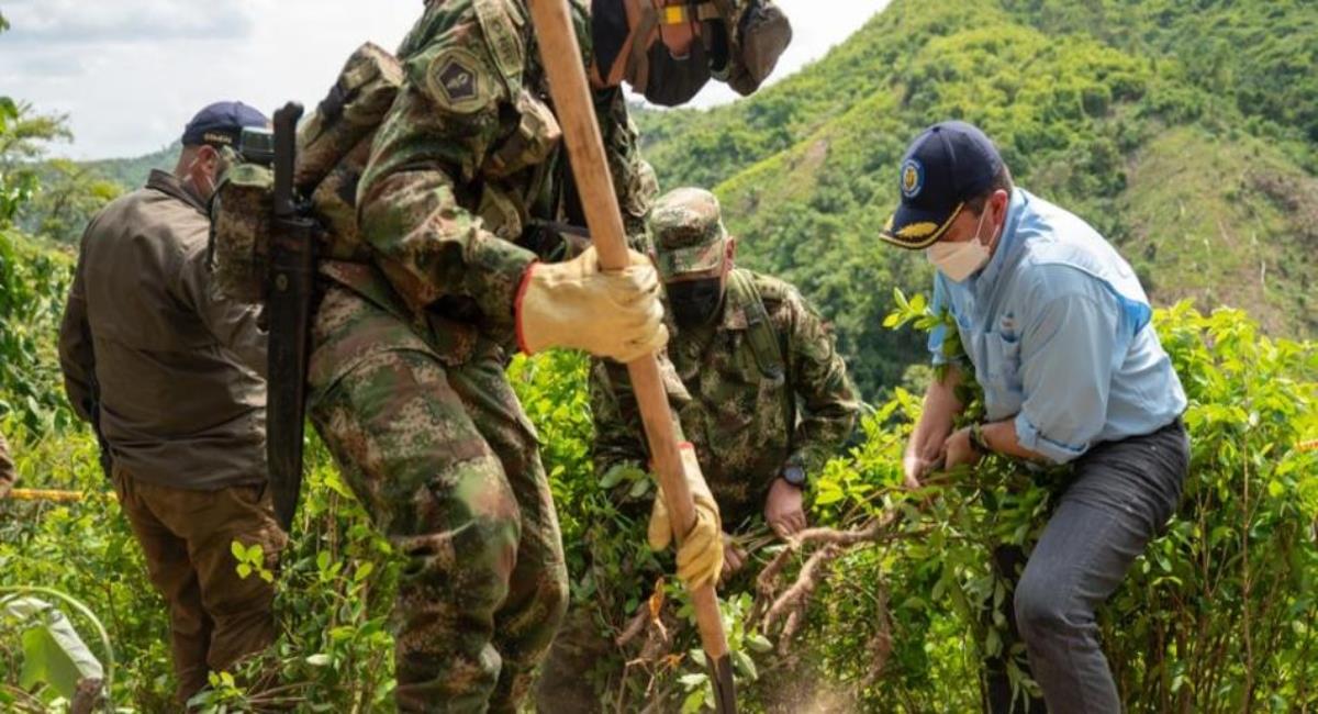 Lucha contra el narcotráfico en Colombia. Foto: Ministerio de Defensa