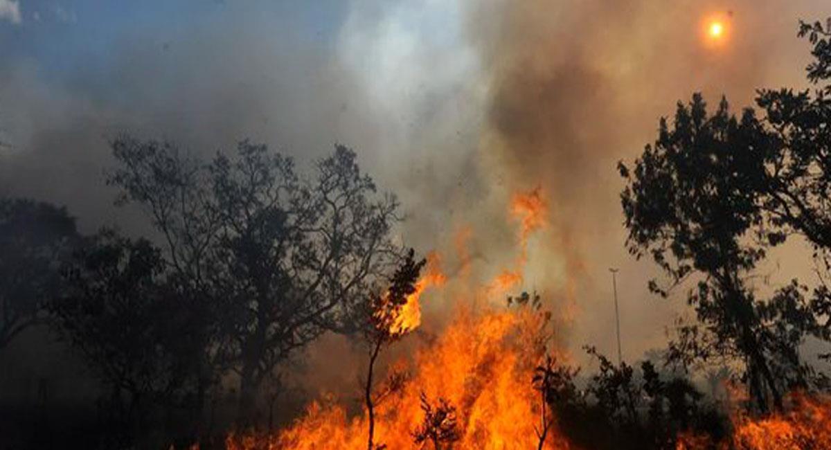 Incendios forestales en los llanos de Colombia y Venezuela influyen en la calidad del aire de Bogotá. Foto: Twitter @TinTincognito
