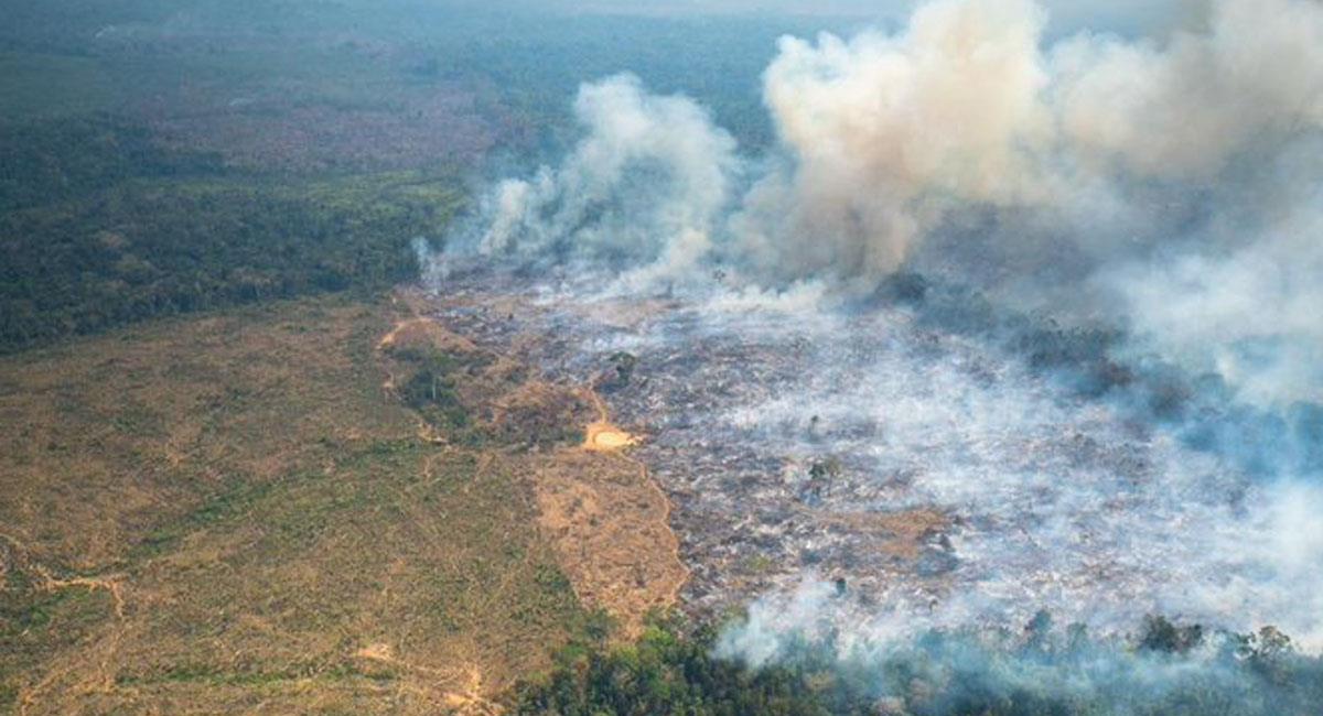 El ministro de Defensa, Diego Molano, acusa a las disidencias de las Farc de deforestación. Foto: Twitter @AyitoMendez