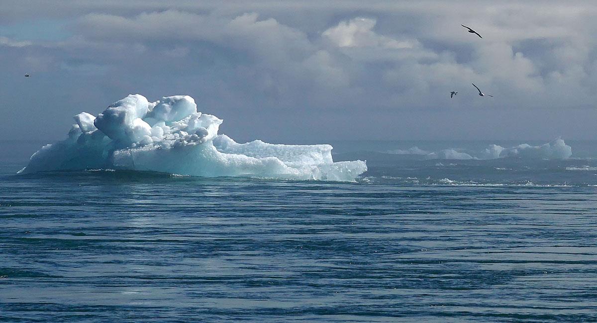 El nivel de los mares creció debido al desprendimiento de varias zonas de hielo en Groenlandia y la Antártida. Foto: Pixabay