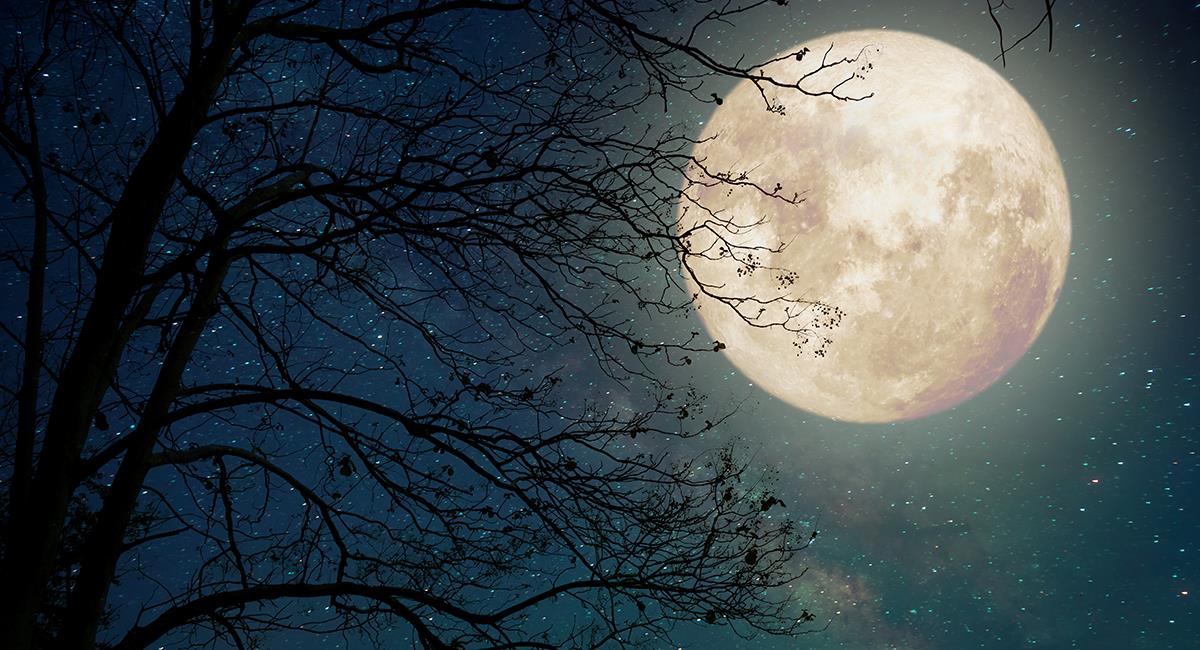 Luna de Nieve: esto podría pasar contigo según tu fecha de nacimiento. Foto: Shutterstock