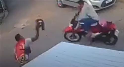 Certero golpe con un casco evitó que un ladrón se apoderara de una moto