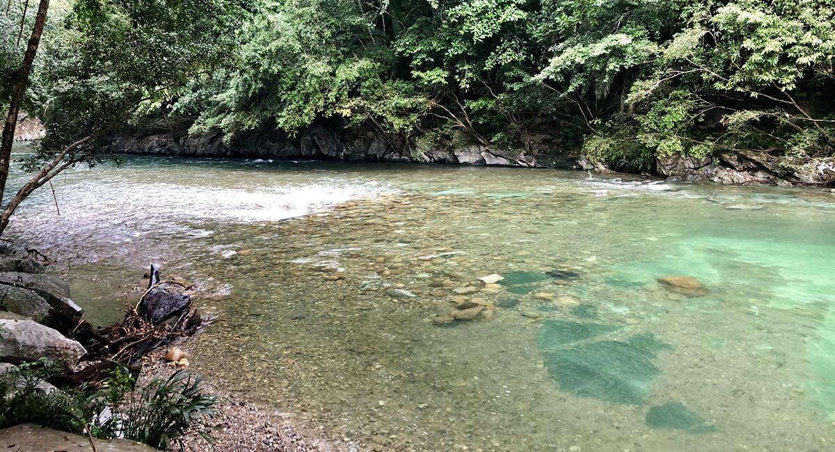 Los ríos cercanos a Doradal y Puerto Triunfo, tienen mucha belleza para presumir. Foto: Twitter @AntanasJL