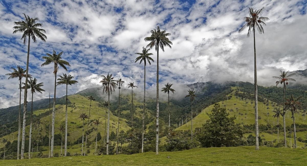 Crisis climática en Colombia. Foto: Pixabay