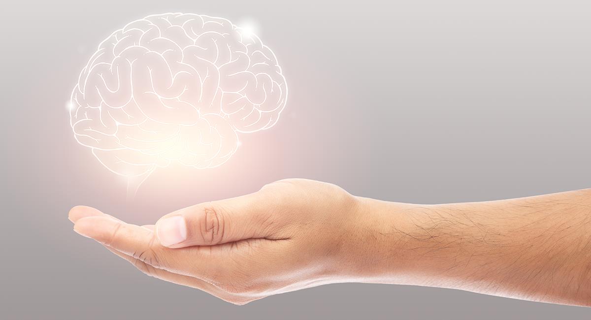 Cuidado: estos son 11 malos hábitos que pueden dañar tu cerebro. Foto: Shutterstock