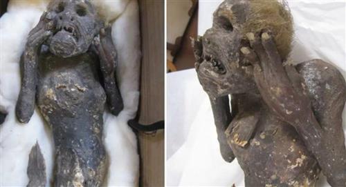 Encuentran supuesta "Sirena momificada" que tiene 300 años de antigüedad 