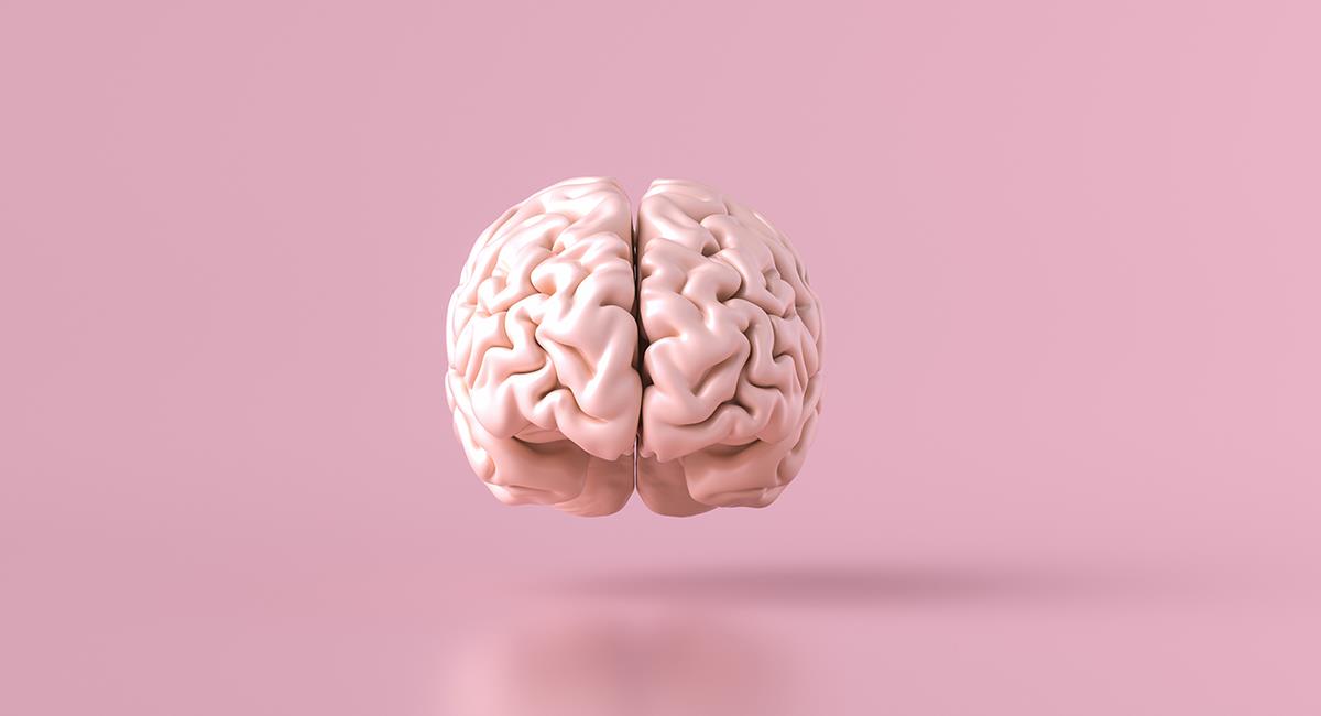 Este es el poderoso hábito que te ayudará a rejuvenecer tu cerebro. Foto: Shutterstock