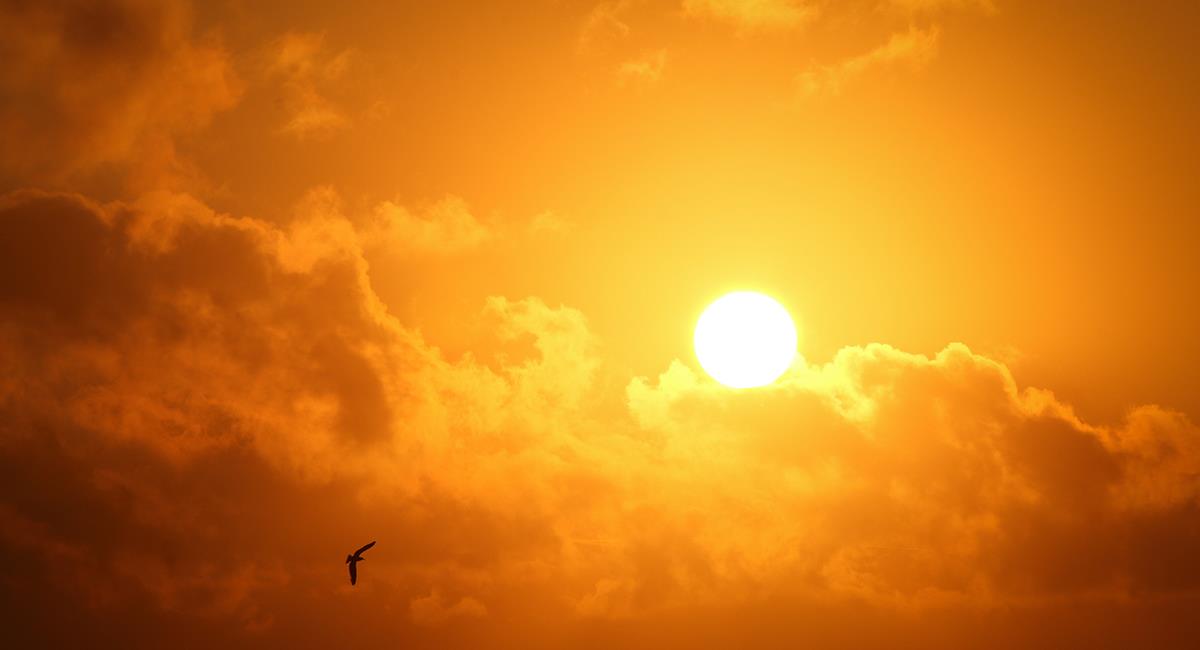 El ciclo solar aún no alcanza su "máximo". Será en julio el 2025. Foto: Pixabay
