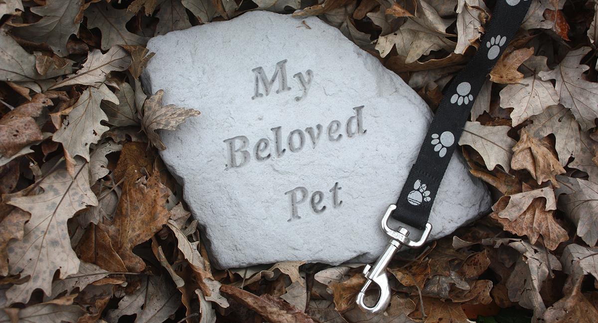 Se cae proyecto que buscaba otorgar licencia por la muerte de una mascota. Foto: Shutterstock