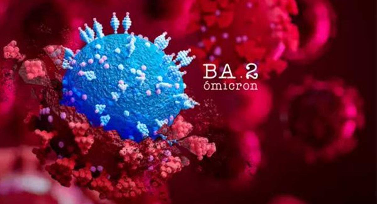La subvariante BA.2 de ómicron podría crear un aumento en los contagios, pero con la vacunación serían leves. Foto: Twitter @papaphone2002