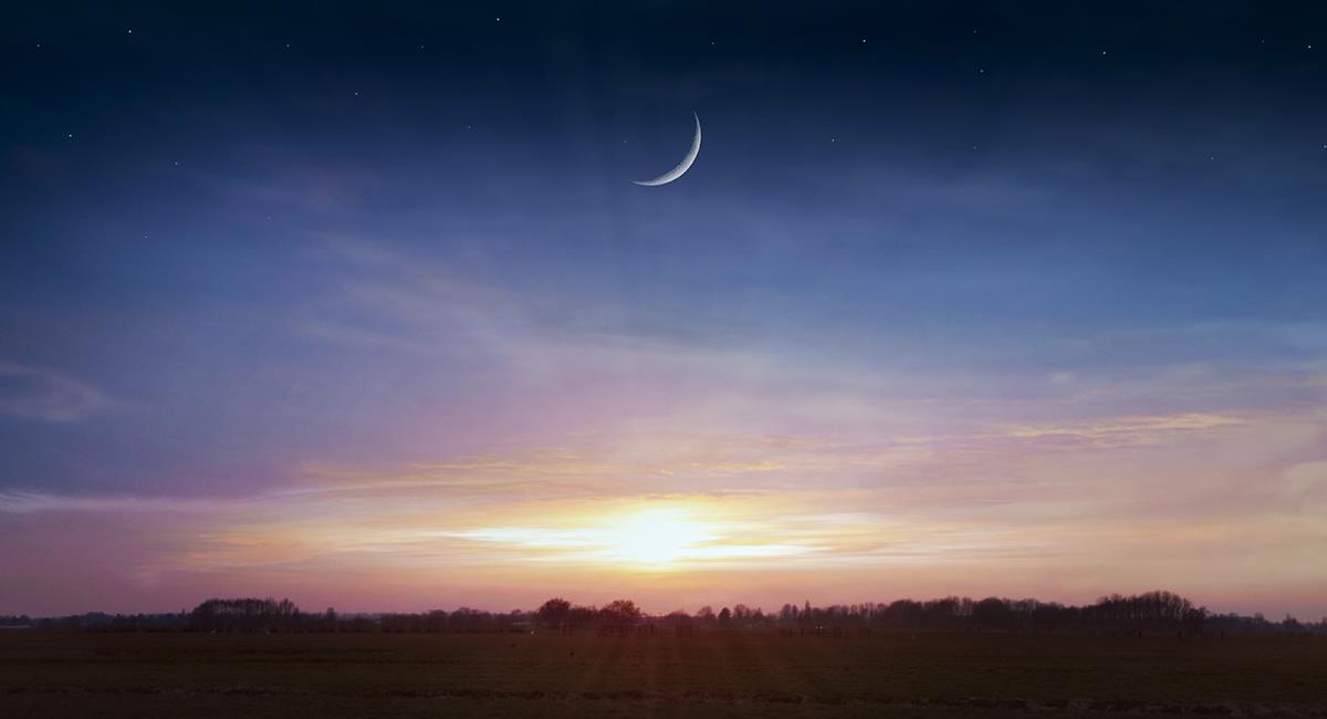 Luna nueva en Aries: te contamos cuáles serán los 3 signos más afectados. Foto: Shutterstock