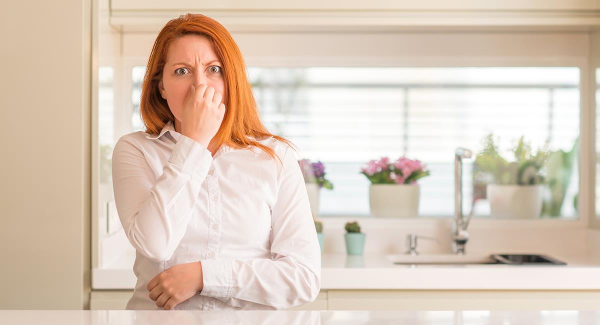 Científicos revelan cuál es el olor más desagradable para el ser humano. Foto: Shutterstock