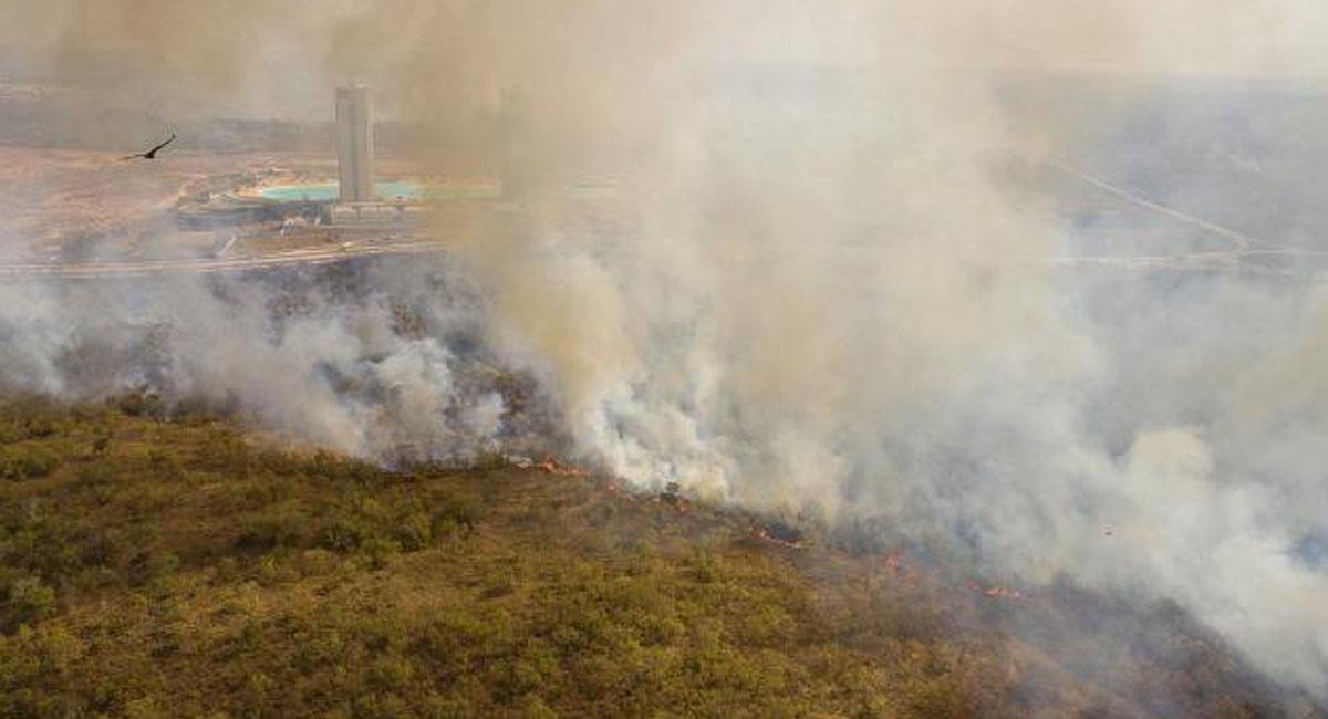 La deforestación en la amazonia brasileña crece en medio de críticas a la política ambiental de Jair Bolsonaro. Foto: Twitter @Expresoec