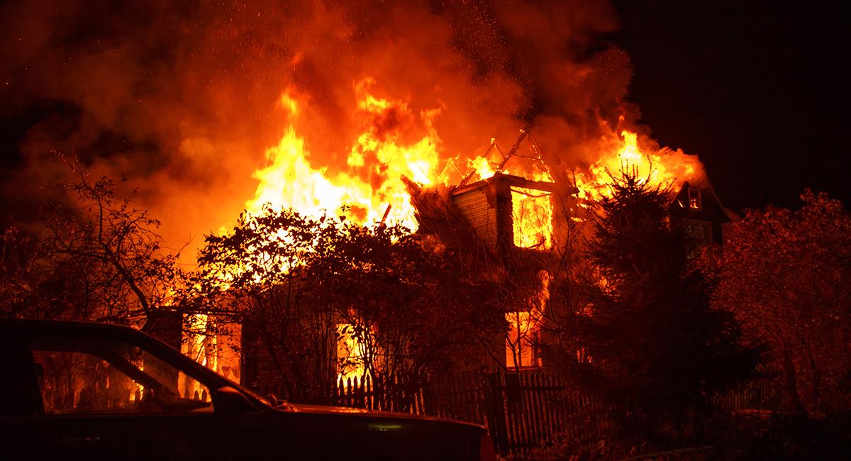 Más de 100 animales murieron por incendio que se produjo en una casa. Foto: Shutterstock
