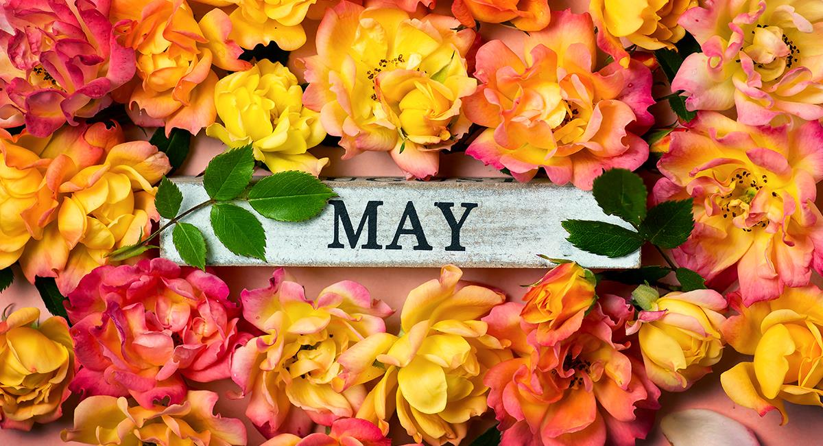 Mayo: Vidente comparte ritual para que todo salga bien este nuevo mes. Foto: Shutterstock